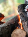 Barbaque fire Royalty Free Stock Photo