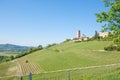 Barbaresco town view, Langhe, Italy