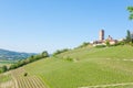 Barbaresco town view, Langhe, Italy