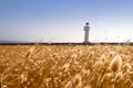 Barbaria cape lighthouse formentera golden meadow Royalty Free Stock Photo
