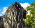 Barbary lion at Trafalgar Square, London Royalty Free Stock Photo