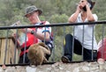 Barbary Ape at Gibraltar Seeks food from tourists