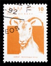 Barbary Sheep (Ammotragus lervia), Sahara Occ. serie, circa 1992