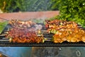 Barbecue Royalty Free Stock Photo
