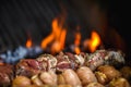 Barbecue BBQ roasted meat in the fire grill Royalty Free Stock Photo