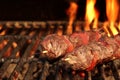 Barbecue Beef Kebabs On The Flaming Grill Close-up Royalty Free Stock Photo