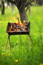 Barbecue box with fire and burning woods Royalty Free Stock Photo