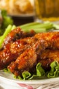 Barbecue Buffalo Chicken Wings Royalty Free Stock Photo