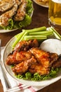 Barbecue Buffalo Chicken Wings Royalty Free Stock Photo