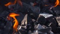 Barbecue burning charcoal for grilling Royalty Free Stock Photo