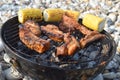 Barbecue chicken cooking on the beach with sweet corn Royalty Free Stock Photo