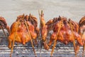 Barbecue chicken on grill stove in Thai restaurant,outdoors Royalty Free Stock Photo