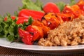 Barbecue chicken kebab with rice Royalty Free Stock Photo