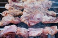 barbecue chicken meat on the coals. cooking and recipes