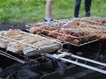 barbecue chicken and turkey skewers in summer outdoors in the forest Royalty Free Stock Photo