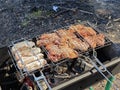 barbecue chicken and turkey skewers in summer outdoors in the forest Royalty Free Stock Photo