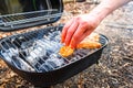 Barbecue chicken wings grilling fire,  coal Royalty Free Stock Photo
