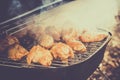 Barbecue chicken wings grilling fire,  coal outdoors Royalty Free Stock Photo