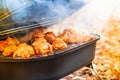 Barbecue chicken wings grilling fire,  coal picnic Royalty Free Stock Photo