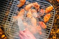 Barbecue chicken wings grilling fire,  coals party Royalty Free Stock Photo