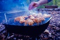 Barbecue chicken wings grilling fire,  hot Royalty Free Stock Photo