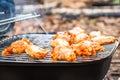 Barbecue chicken wings grilling fire,  party Royalty Free Stock Photo