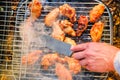 Barbecue chicken wings grilling fire,  summer camping Royalty Free Stock Photo