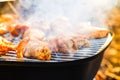 Barbecue chicken wings grilling fire,  wing Royalty Free Stock Photo