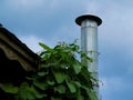 Barbecue Chimney With Vines