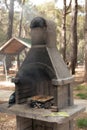 barbecue for cooking shish kebab with a grid of meat in a picnic park in forest, hot spring day Royalty Free Stock Photo