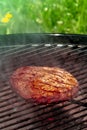 Barbecue cookout. Grilled beef steak with green grass