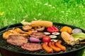 Barbecue cookout. Grilled meat, sausages, chicken, vegetables, a panorama