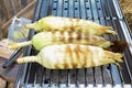 Barbecue corn not peeled on a grilling pan.