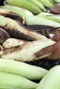 Barbecue corn Royalty Free Stock Photo