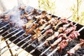 Barbecue With Delicious Grilled Meat On Grill. Barbecue Party. Royalty Free Stock Photo