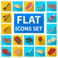 Barbecue and equipment flat icons in set collection for design. Picnic and fried food vector symbol stock web Royalty Free Stock Photo