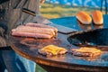 Barbecue festival in the city park Royalty Free Stock Photo