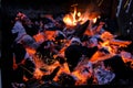 Barbecue fire Royalty Free Stock Photo