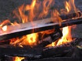 Barbecue on fire. Bright fire on wood 2 Royalty Free Stock Photo