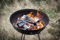 Barbecue Fire Grill close-up. New and old grown grass in the background. Royalty Free Stock Photo