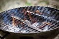 Barbecue Fire Grill close-up. New and old grown grass in the background Royalty Free Stock Photo