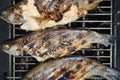 Barbecue with fish. Grilled mackerel fish. Royalty Free Stock Photo