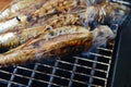 Barbecue with fish. Grilled mackerel fish. Royalty Free Stock Photo