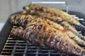 Barbecue with fish. Grilled mackerel fish. Royalty Free Stock Photo