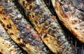 Barbecue with fish. Grilled mackerel fish. Royalty Free Stock Photo