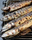 Barbecue with fish. Grilled mackerel fish. Royalty Free Stock Photo