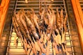 Barbecue fish in tray. Grilled fish on a stick