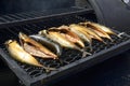 Barbecue fishes frying on a charcoal grill Royalty Free Stock Photo