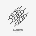 Barbecue flat line icon. Vector thin sign of bbq, caucasian cafe logo. Meat on skewer illustration