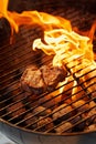 Barbecue, food and steak on a fire for dinner, eating meat and cookout on the grill. Protein, flame and food grilling Royalty Free Stock Photo